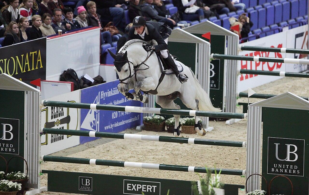 马术体能与康复:被低估的隐形战场